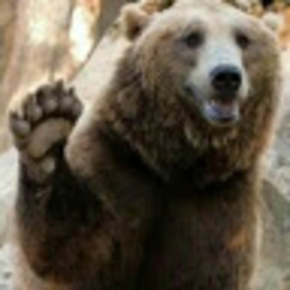 Meet your Posher, Nick Frame